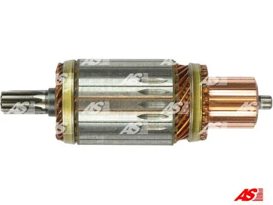Armature, starter (SA6002)