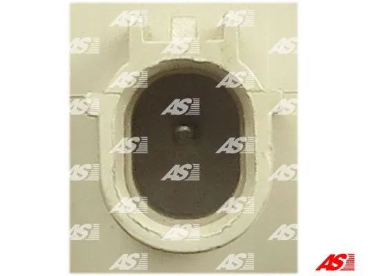 Alternator Regulator