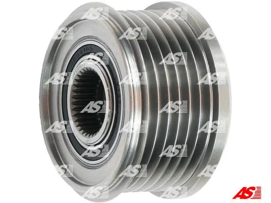 Alternator Freewheel Clutch (AFP3009(V))