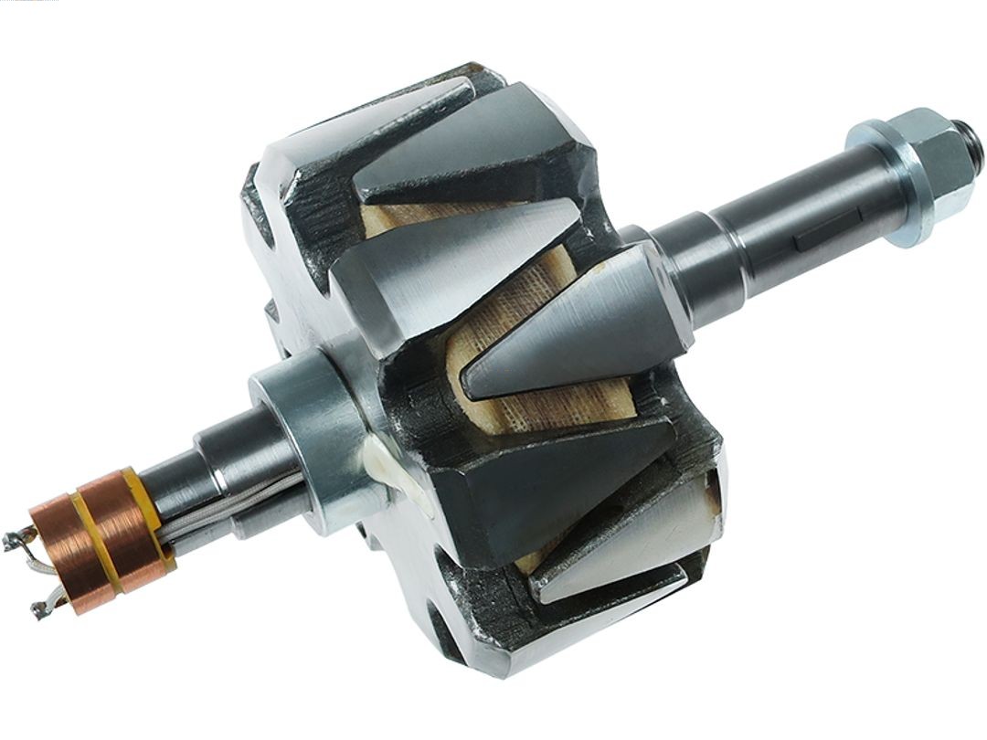 Rotor, alternator (AR9048S)