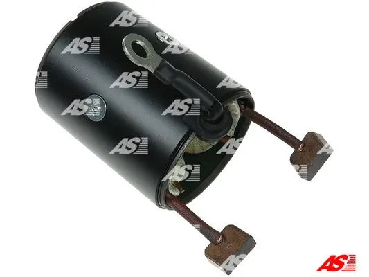 Field Winding, starter (SF1019S)