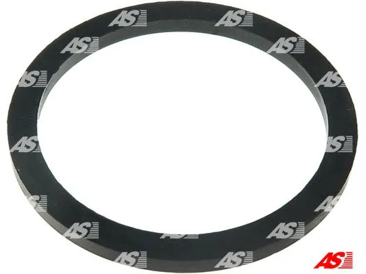 Repair Set, alternator (SRS1015)