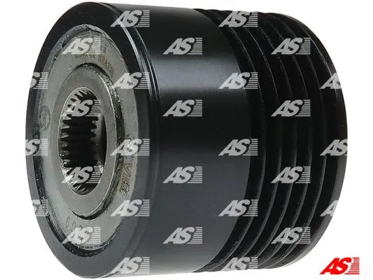 Alternator Freewheel Clutch (AFP3056S)