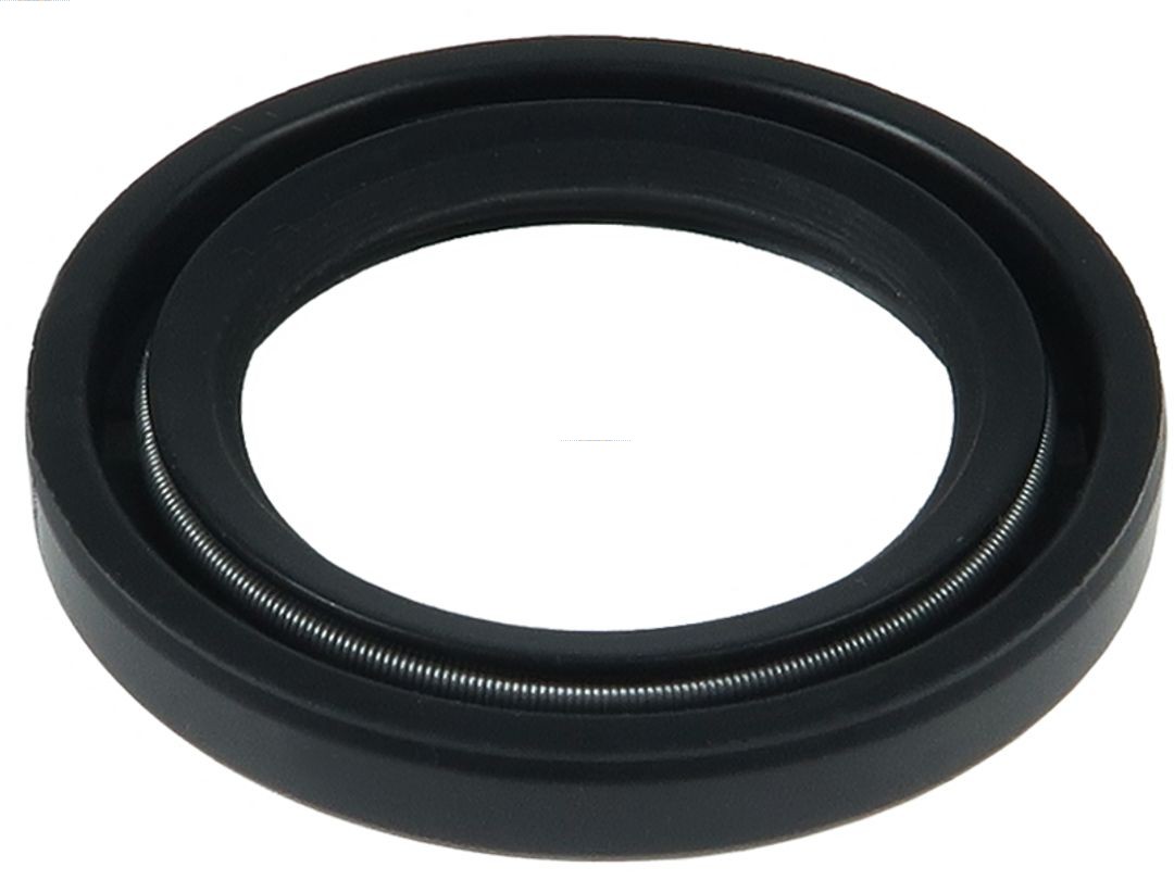 Repair Set, alternator (SRS1051S)