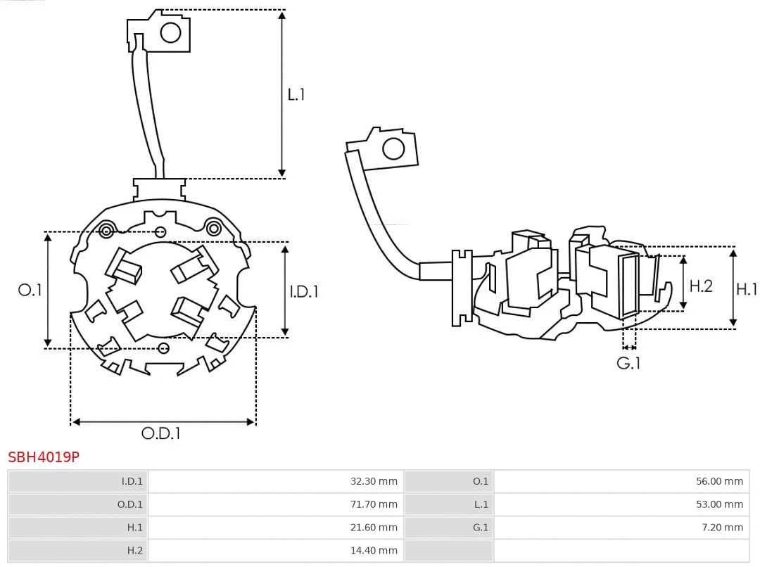 Holder, carbon brushes