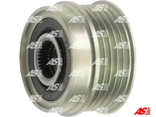 Alternator Freewheel Clutch (AFP6025(INA))