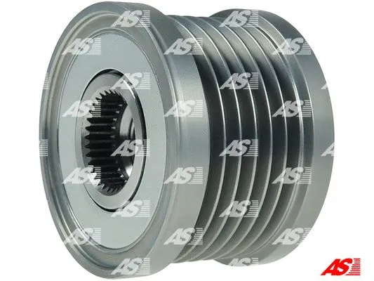 Alternator Freewheel Clutch (AFP0044)