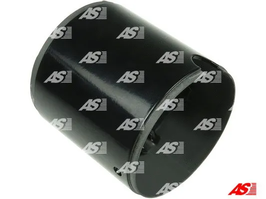 Field Winding, starter (SF5032S)