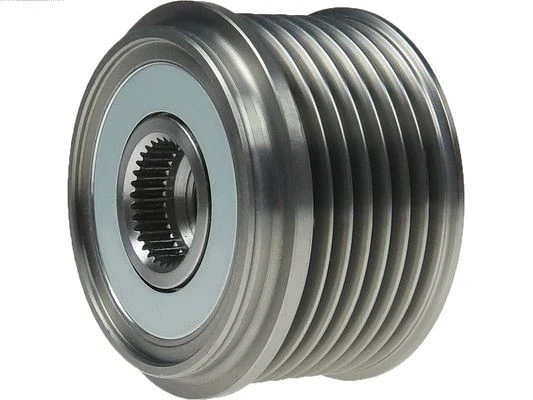 Alternator Freewheel Clutch (AFP0013)
