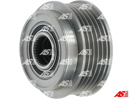Alternator Freewheel Clutch (AFP6009(V))