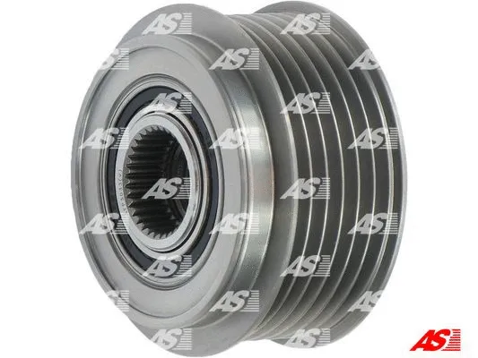 Alternator Freewheel Clutch (AFP3033(V))