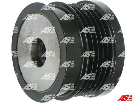 Alternator Freewheel Clutch (AFP0062(LITENS))