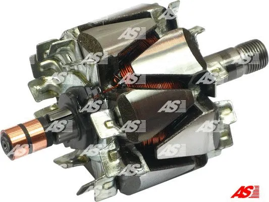 Rotor, alternator (AR6012)