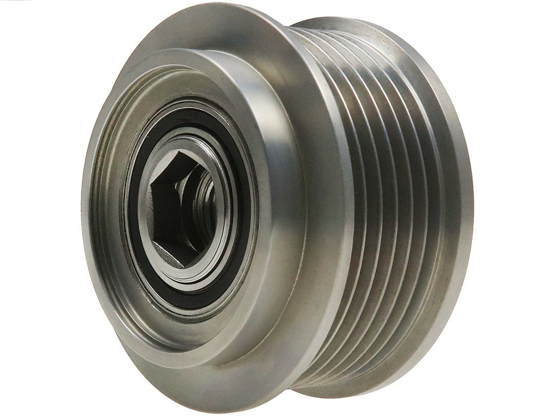 Alternator Freewheel Clutch (AFP6101S)