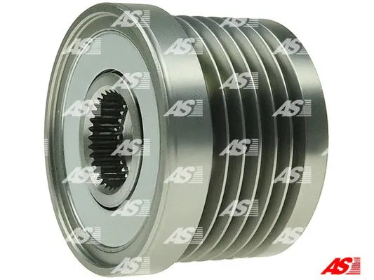 Alternator Freewheel Clutch (AFP0055)