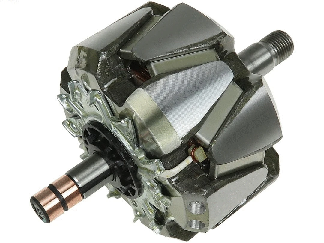 Rotor, alternator (AR1019S)