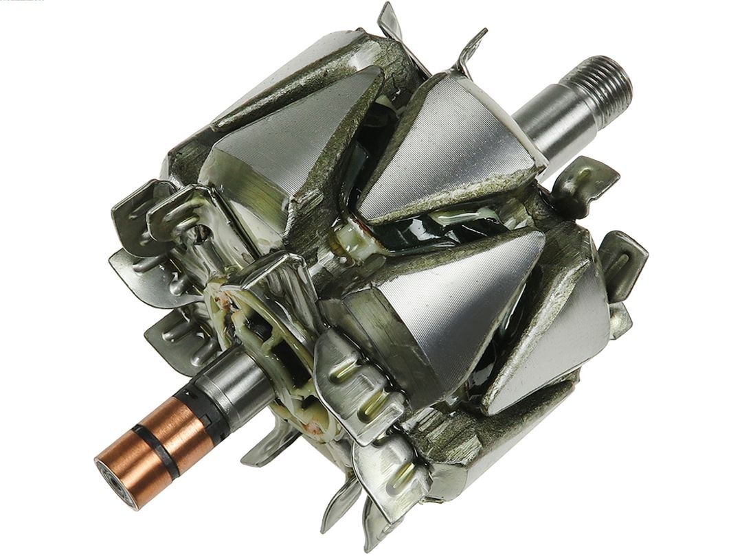 Rotor, alternator (AR3039S)