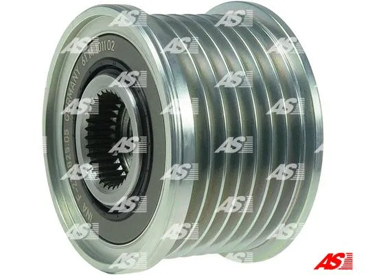 Alternator Freewheel Clutch (AFP0042(INA))