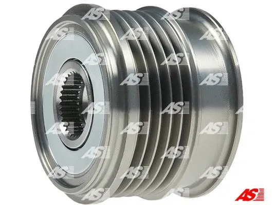 Alternator Freewheel Clutch (AFP0062)