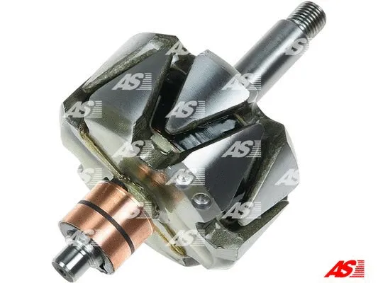 Rotor, alternator (AR0093S)