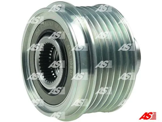 Alternator Freewheel Clutch (AFP5020(INA))