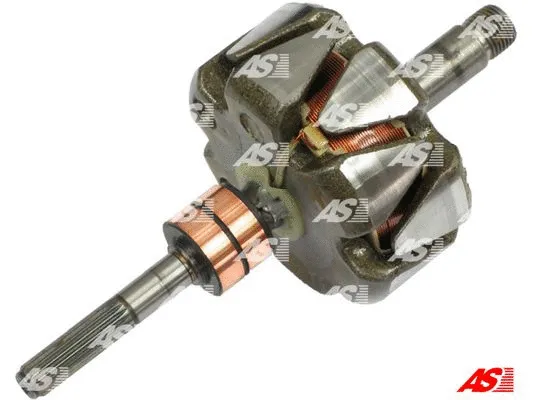 Rotor, alternator (AR0042)