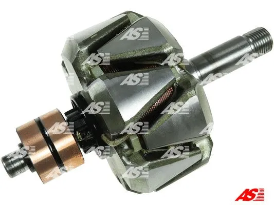 Rotor, alternator (AR9021S)