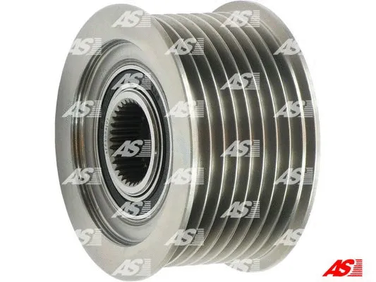 Alternator Freewheel Clutch (AFP5004(V))