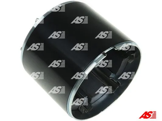 Field Winding, starter (SF5038S)