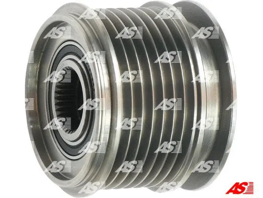 Alternator Freewheel Clutch (AFP3022(V))