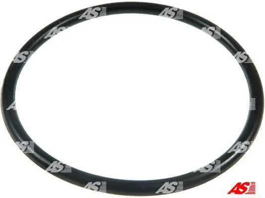 Repair Set, alternator (SRS1011)