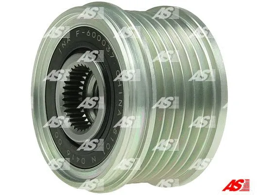 Alternator Freewheel Clutch (AFP0107(INA))