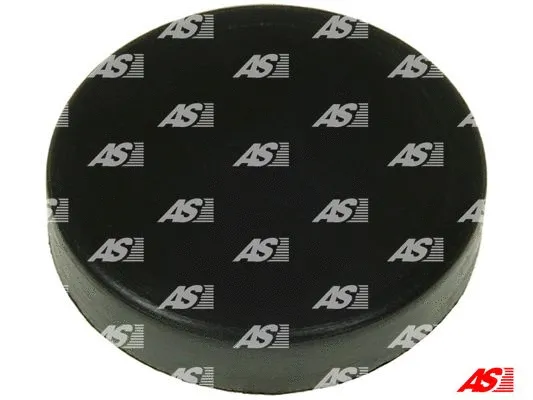 Repair Set, alternator (ARS5041S)