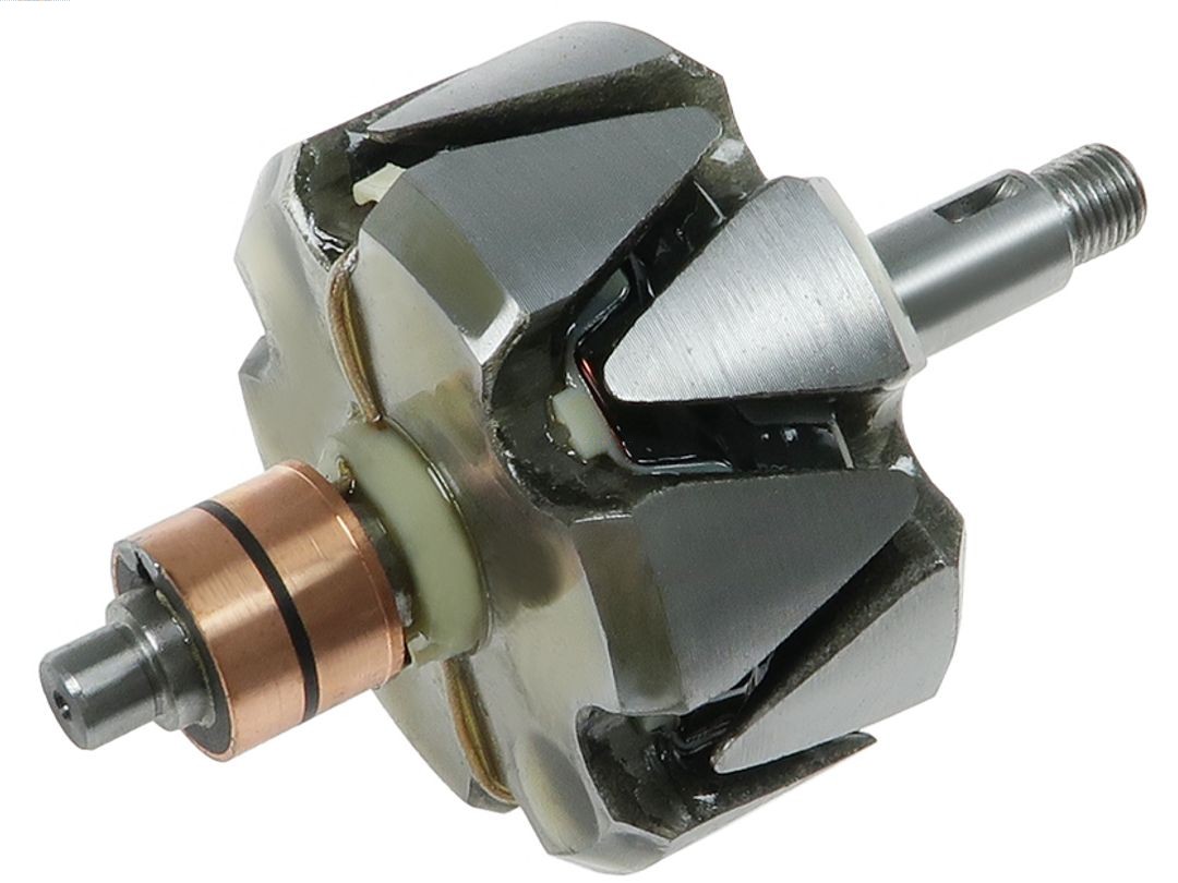 Rotor, alternator (AR0129S)
