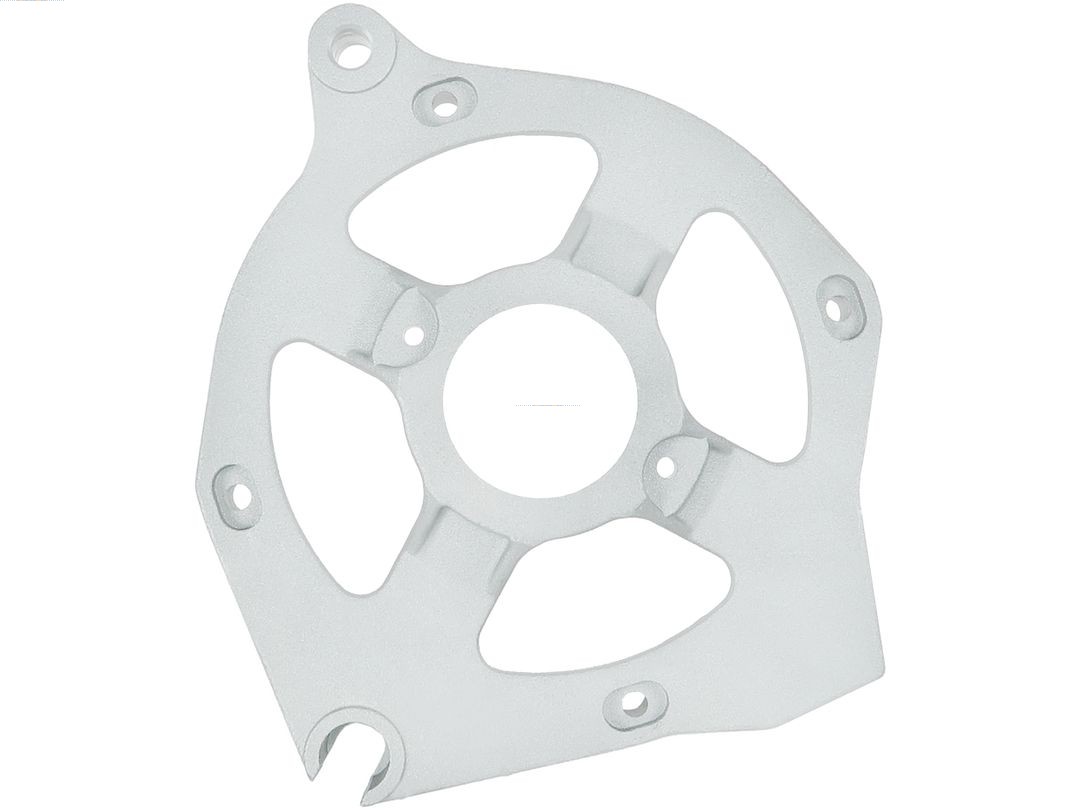 Bracket, alternator drive flange (ABR3119S)
