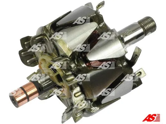 Rotor, alternator (AR3009)