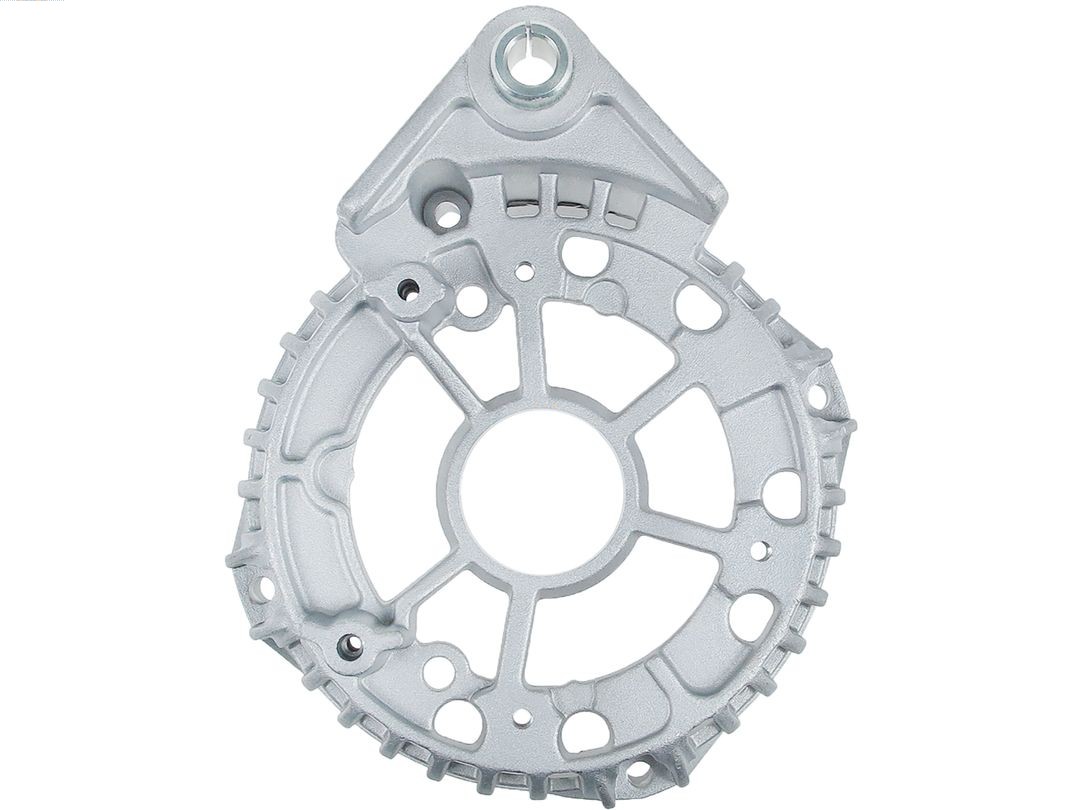 Bracket, alternator drive flange (ABR0224S)