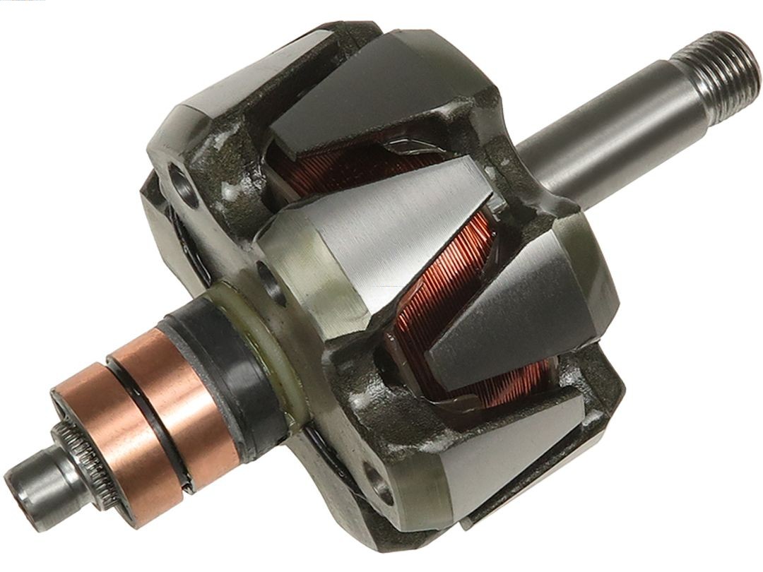 Rotor, alternator (AR9040S)