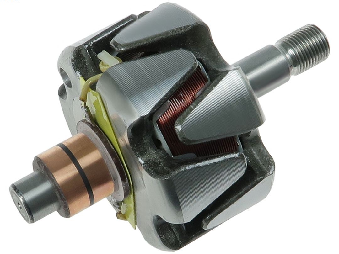 Rotor, alternator (AR4017S)