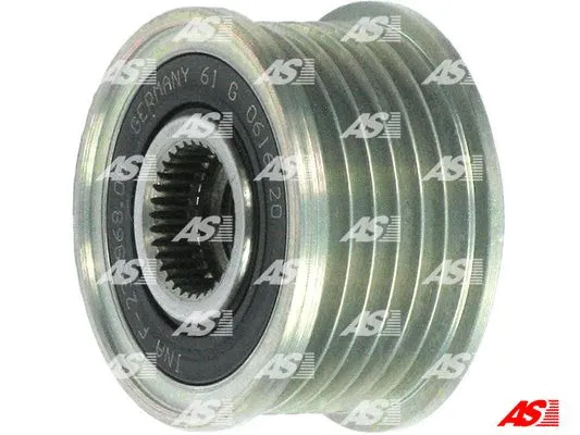 Alternator Freewheel Clutch (AFP0045(INA))