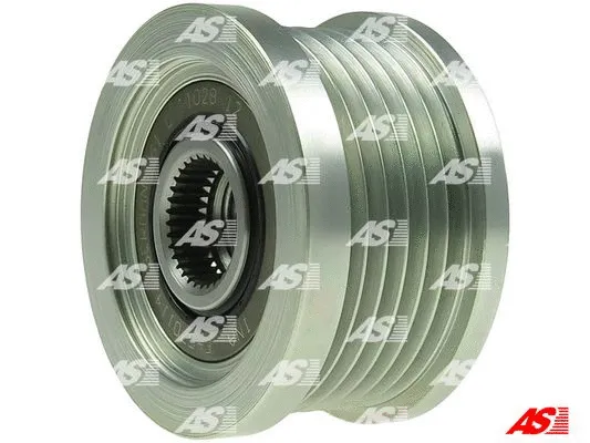 Alternator Freewheel Clutch (AFP5028(INA))