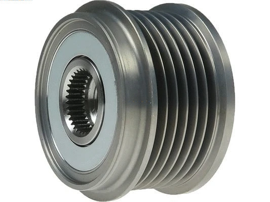 Alternator Freewheel Clutch (AFP0017)
