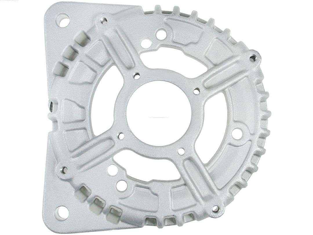 Bracket, alternator drive flange (ABR0189S)