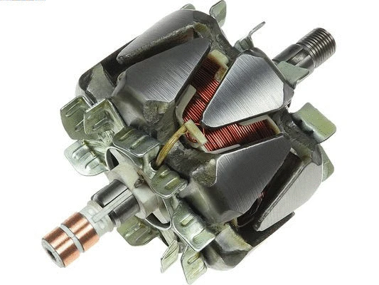Rotor, alternator (AR0098S)