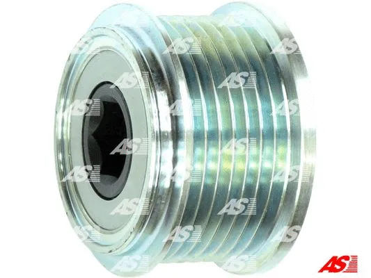 Alternator Freewheel Clutch (AFP6026)