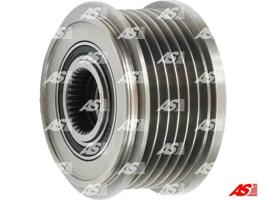 Alternator Freewheel Clutch (AFP0017(V))