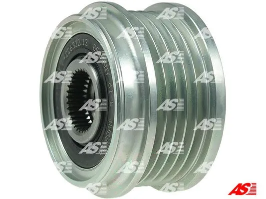 Alternator Freewheel Clutch (AFP0019(INA))