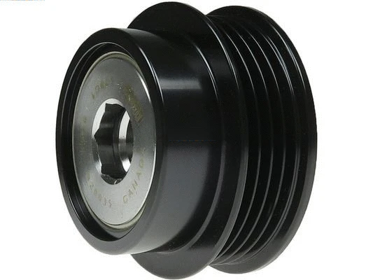 Alternator Freewheel Clutch (AFP6087(LITENS))