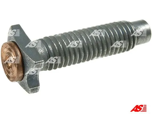 Repair Kit, starter (SP3017P)