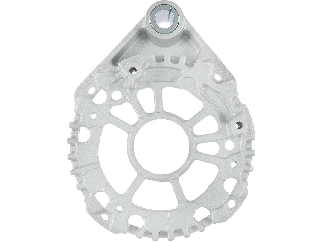 Bracket, alternator drive flange (ABR0282S)